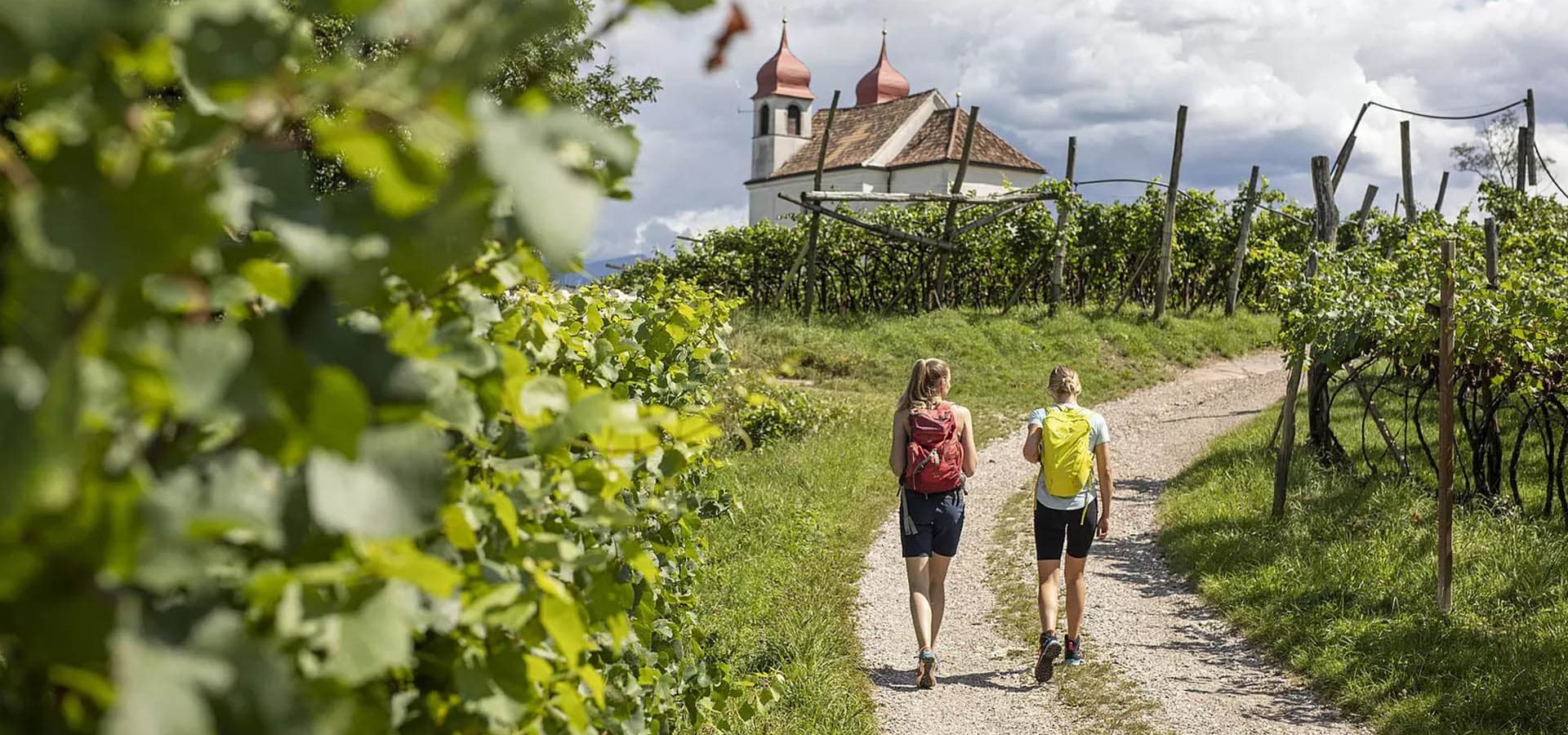 Ferien auf dem Bauernhof in Eppan Südtirol Weinstrasse Pizzol Hof (5)