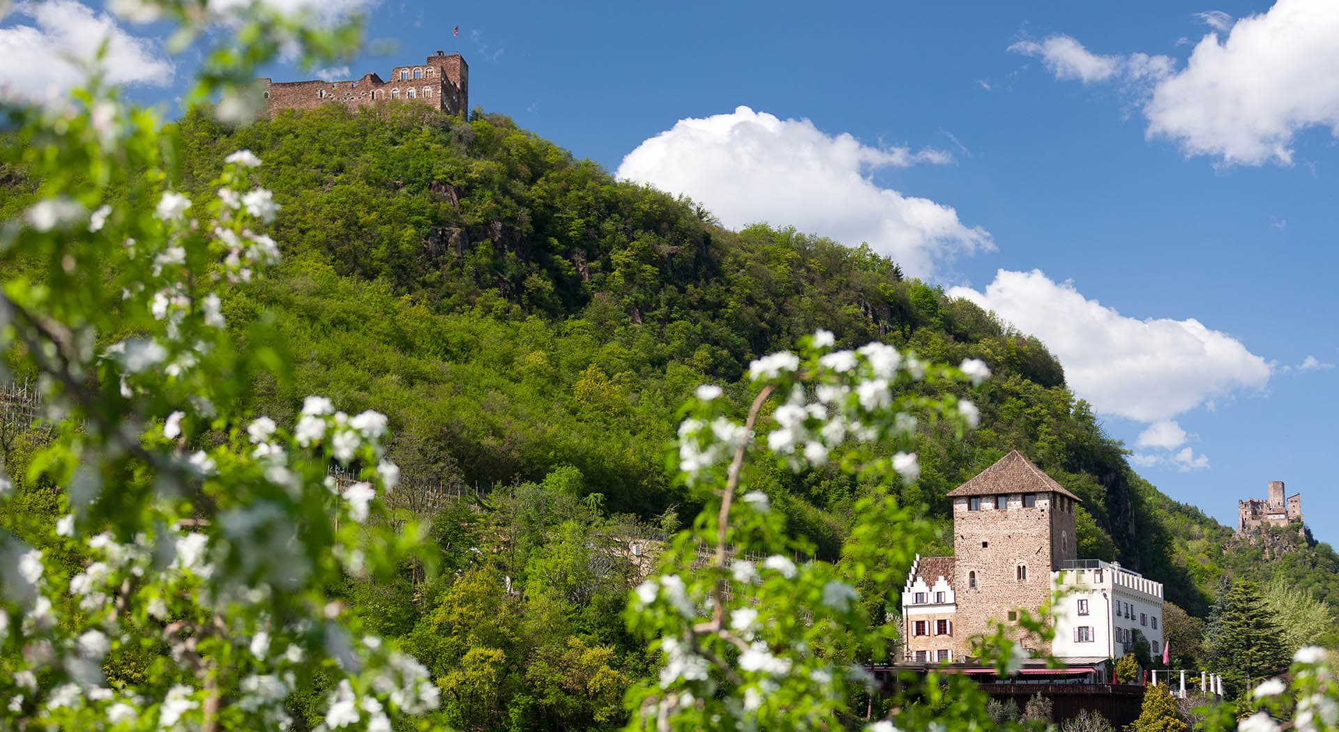 Frühlingserwachen in Südtirols Süden Eppan Urlaub in den Dolomiten (6)