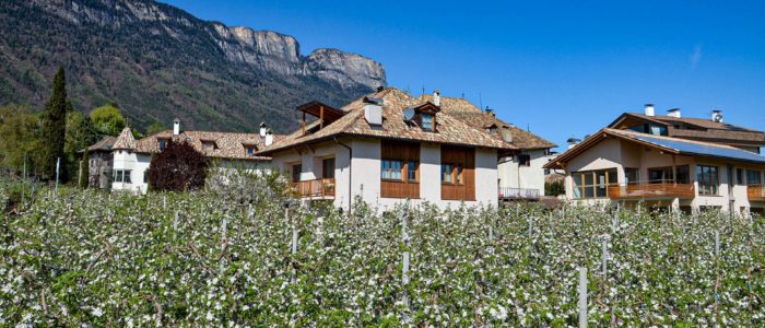 Urlaub auf dem Bauernhof in Eppan Südtirol (1)