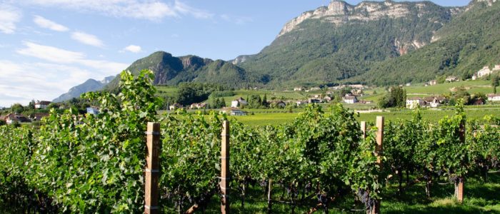 Urlaub auf dem Bauernhof in Eppan Südtirol (2)