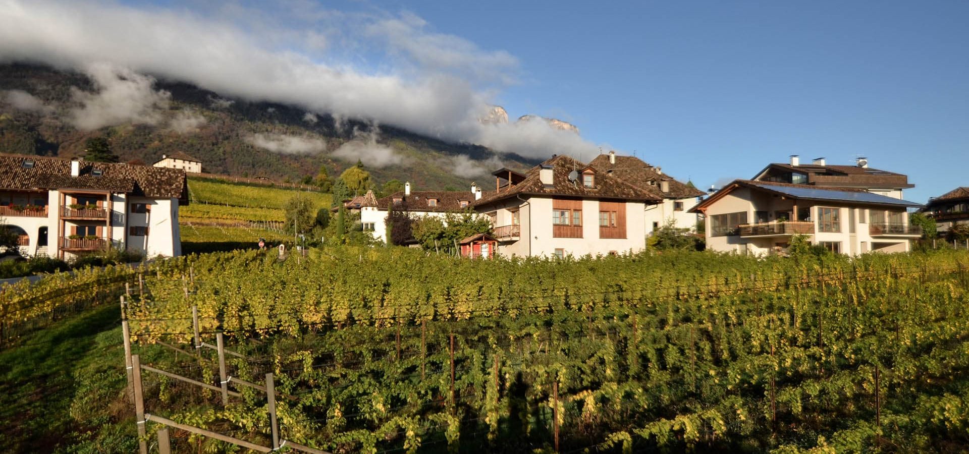 Urlaub auf dem Weingut Ferien auf dem Pizzol Hof in Eppan st michael Südtirol Italien Dolomiten (1)