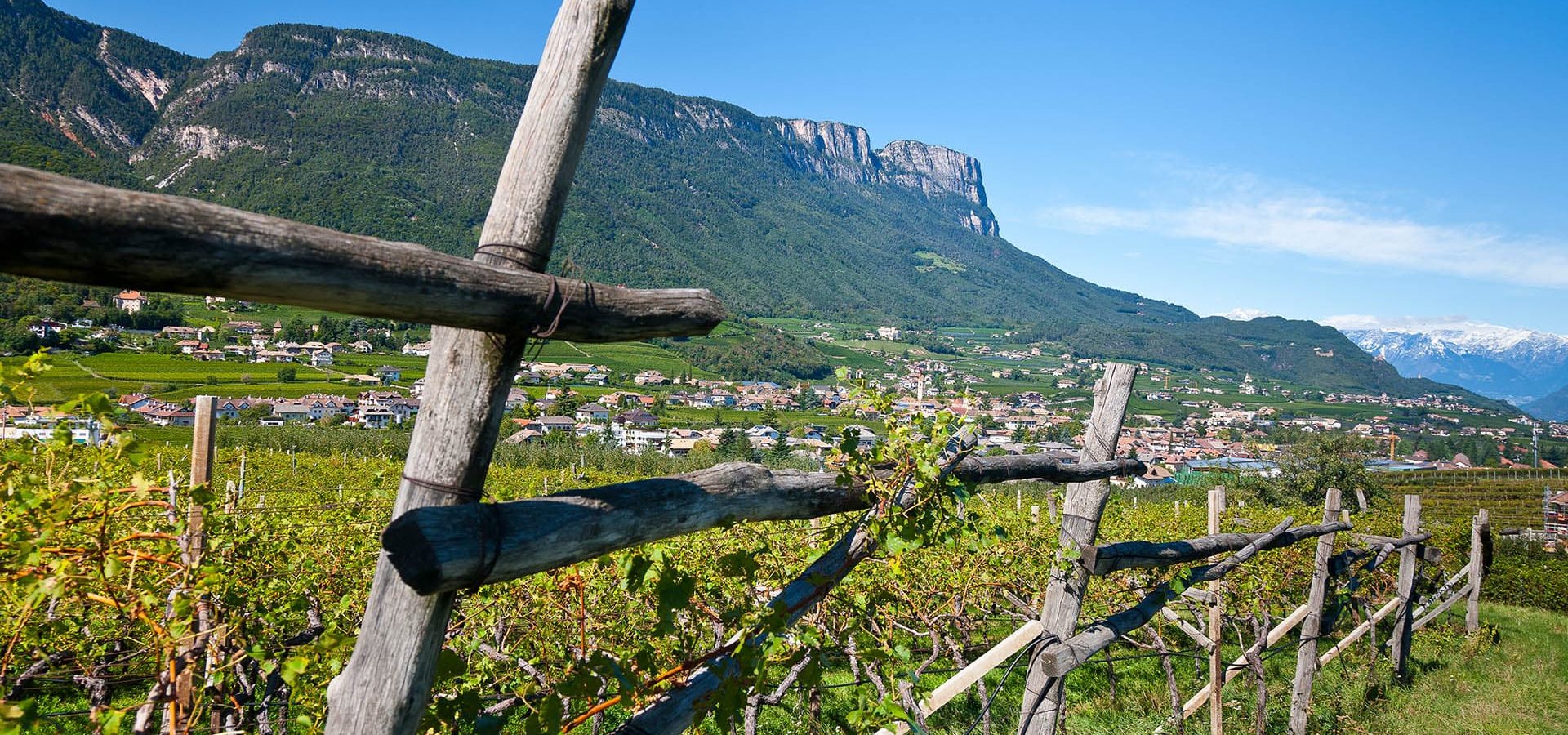 Urlaub auf dem Weingut Ferien auf dem Pizzol Hof in Eppan st michael Südtirol Italien Dolomiten (4)